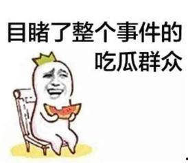 娱乐圈吃瓜群众心态崩溃,吃瓜群众心态崩溃，揭秘幕后真相