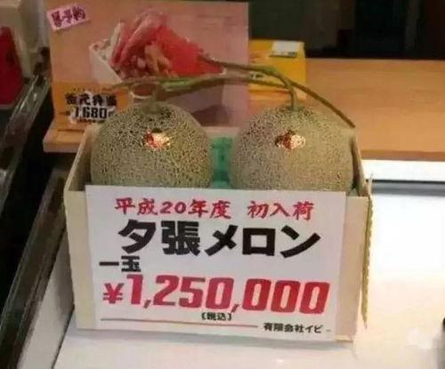 娱乐厅吃瓜,揭秘娱乐圈背后的故事与真相