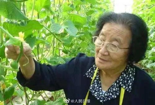 娱乐吃瓜小将配音是谁,揭秘配音界新晋实力派