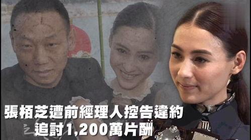 娱乐吃瓜切,揭秘明星幕后故事