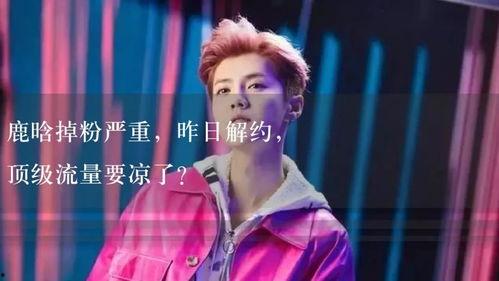 娱乐吃瓜解说,揭秘明星幕后那些事儿