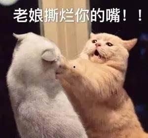 娱乐吃瓜君被骂,网络素养何在？