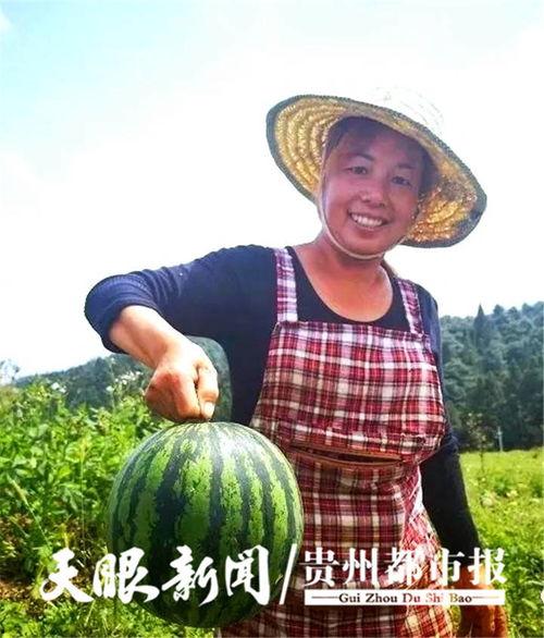 贵阳娱乐吃瓜,吃瓜群众的热门话题大盘点