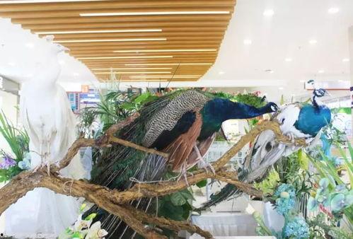 郑州吃瓜娱乐,揭秘城市生活趣味瞬间