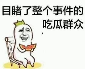 吃瓜娱乐打人案件真相,揭秘打人案件真相