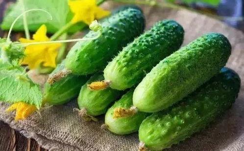 娱乐吃瓜制作,吃瓜群众必看的幕后故事