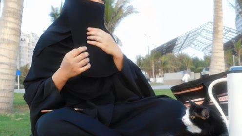 娱乐吃瓜君地址,探寻娱乐圈幕后故事