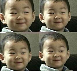 娱乐圈吃瓜事情真相,揭秘幕后真相，还原事件始末