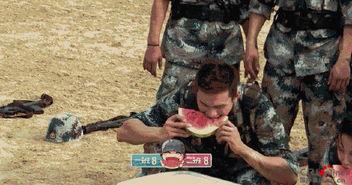 娱乐吃瓜地,吃瓜群众背后的故事