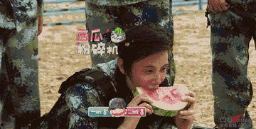 娱乐吃瓜地,吃瓜群众背后的故事