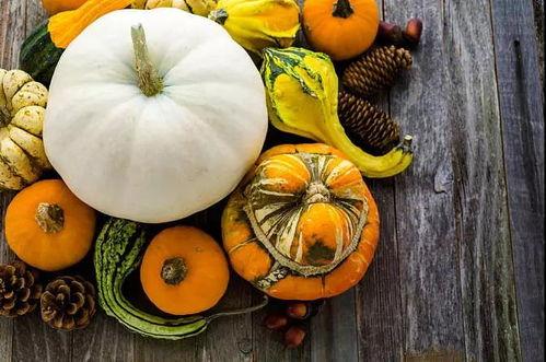 娱乐吃瓜养生,吃瓜养生两不误