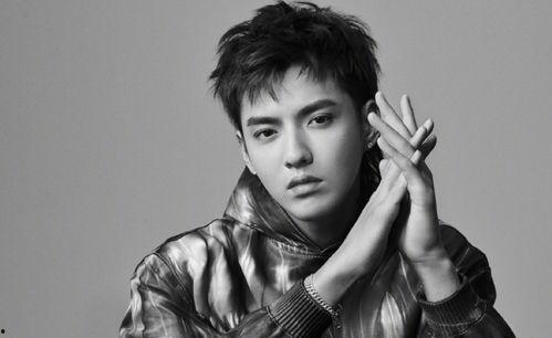 娱乐圈吃瓜群龚俊是谁,娱乐圈吃瓜群中的璀璨明星