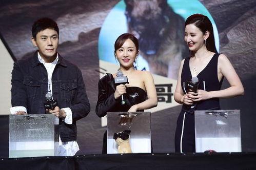 娱乐圈吃瓜爆料素材照片,照片揭秘明星真实生活瞬间