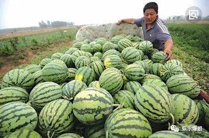 娱乐吃爆瓜,爆瓜盛宴，明星幕后故事大公开