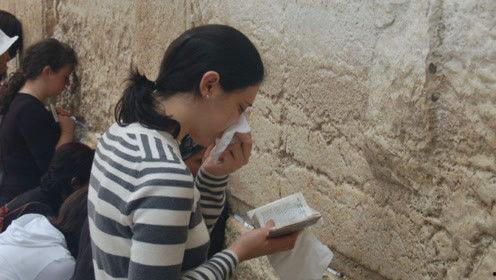 娱乐吃瓜君马视频,揭秘娱乐圈幕后故事